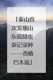 泰山首次发现山东省昆虫新记录种——香椿巴木虱